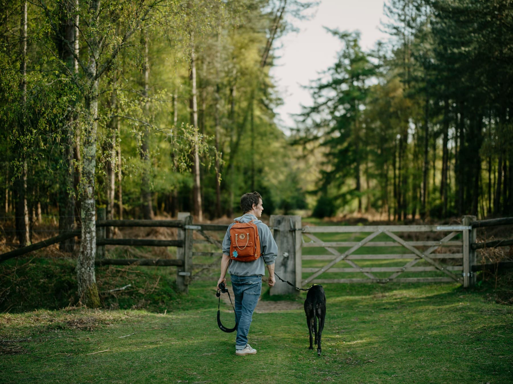 A walker takes a dog out on a calm morning route
